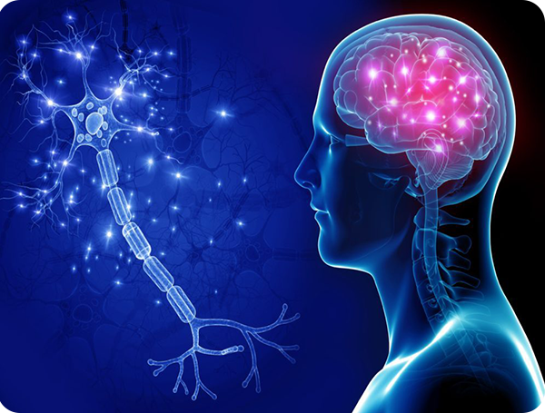 Neurology